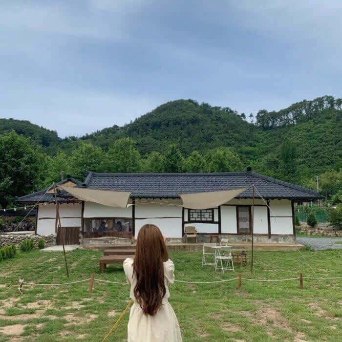 飒姐-菠菜星球